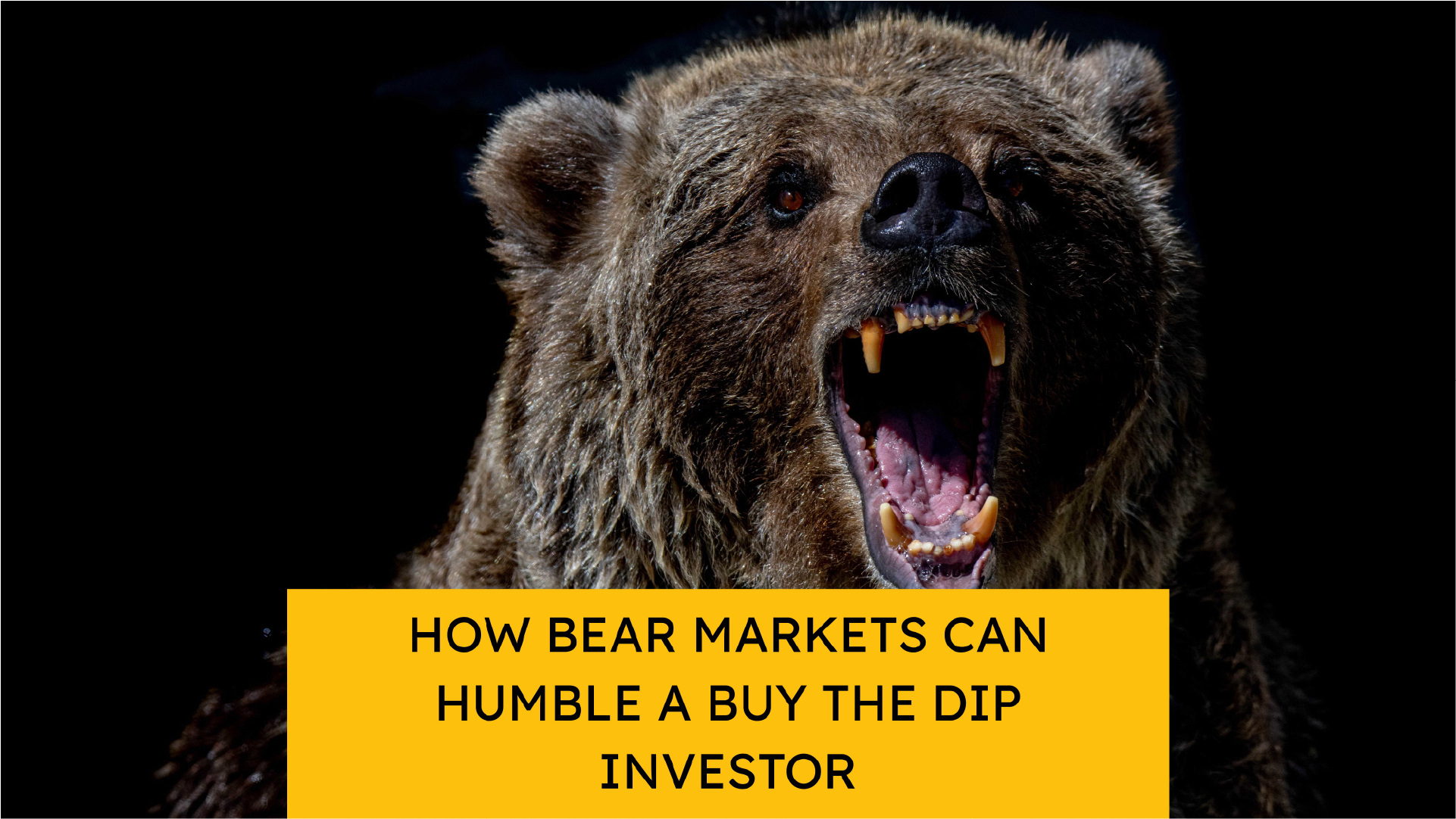 How Bear Markets Can Humble a Buy the Dip Investor - Potomac